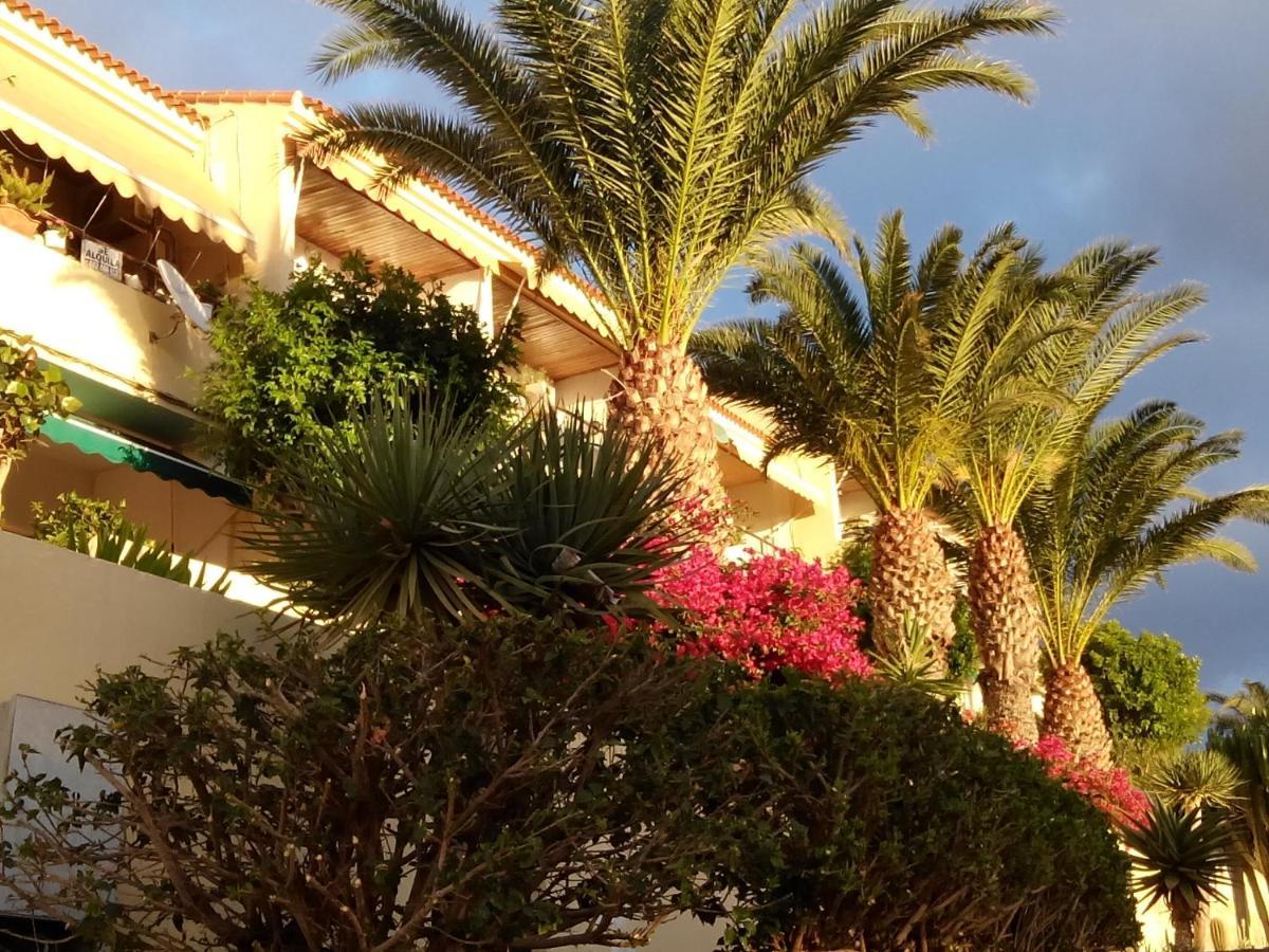Paradis مورو ذيل خابلِ المظهر الخارجي الصورة
