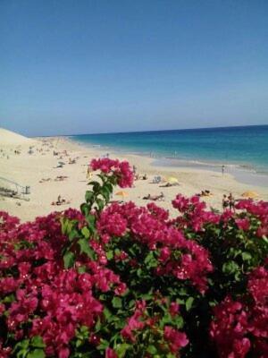 Paradis مورو ذيل خابلِ المظهر الخارجي الصورة